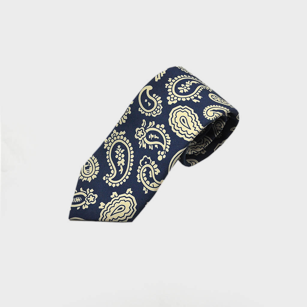 Paisley Silk Tie in Blue & White
