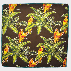 Macaw English Silk Pocket Square in Brown & Gold