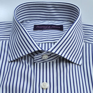 Spread Collar Bold Stripe Cotton Shirt in Blue & White