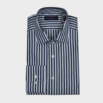 Spread Collar Stripe Cotton Shirt in Blue